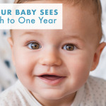 What Your Baby Sees From Birth to One Year